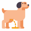 dog (1)