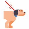 dogs (2)
