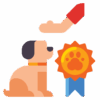 dog-training