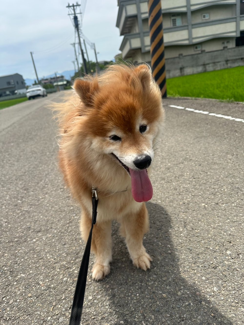黃小姐