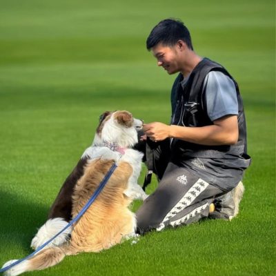 自介 自介